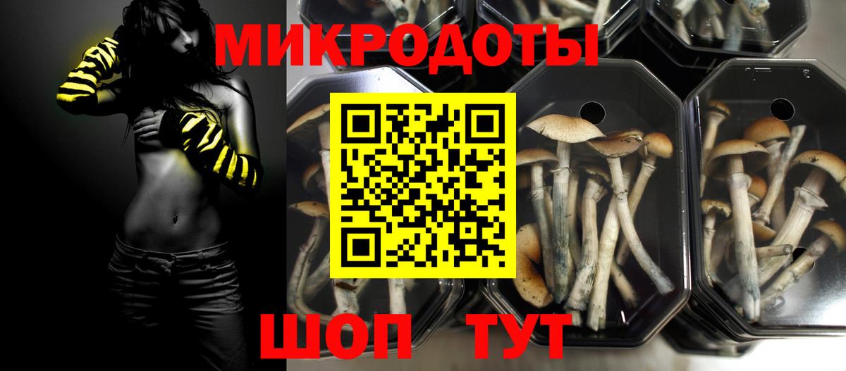 Майкоп  Галлюциногенные грибы Magic Shrooms  Вход с VPN 