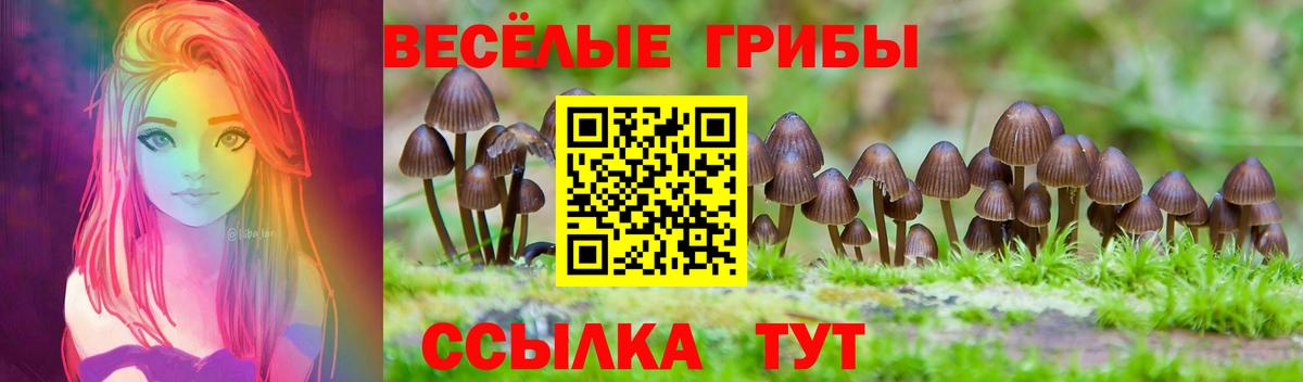 Галлюциногенные грибы Cubensis Майкоп