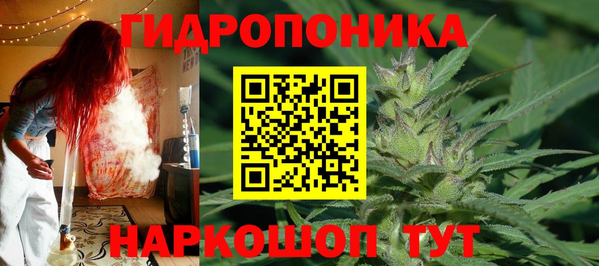 Бошки марихуана индика Майкоп